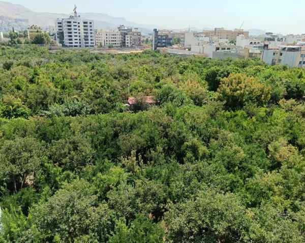 دو خواب _ درب از حیاط _ ویو باغات تلخدش_قابل تبدیل