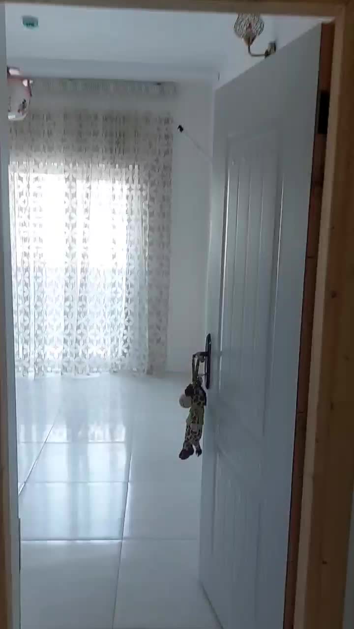 رهن و اجاره سام و زال