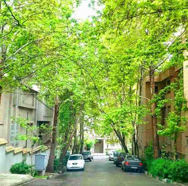 102 متر برج باغ لوکس و مجلل_ فول مشاعات فعال