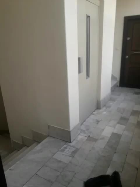 بالای کلانتری ۱۴۰ متر نور و نقشه