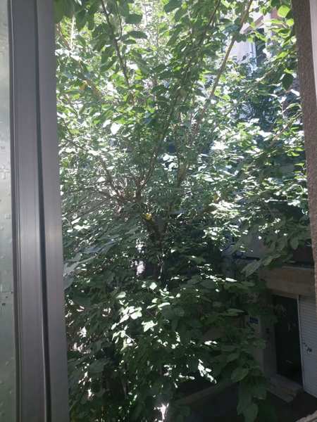۹۰ متر هشترودی ۲ خوابه سرمایه گذاری
