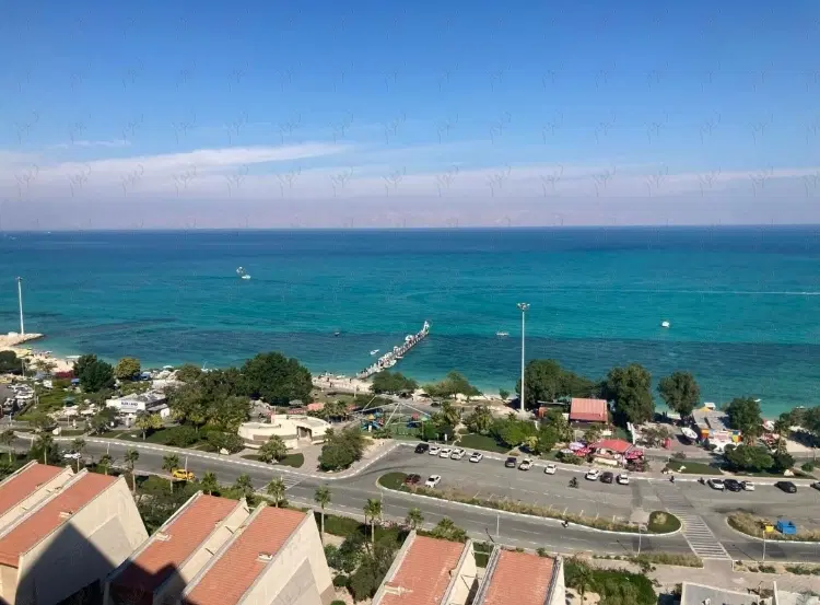 Slide Image