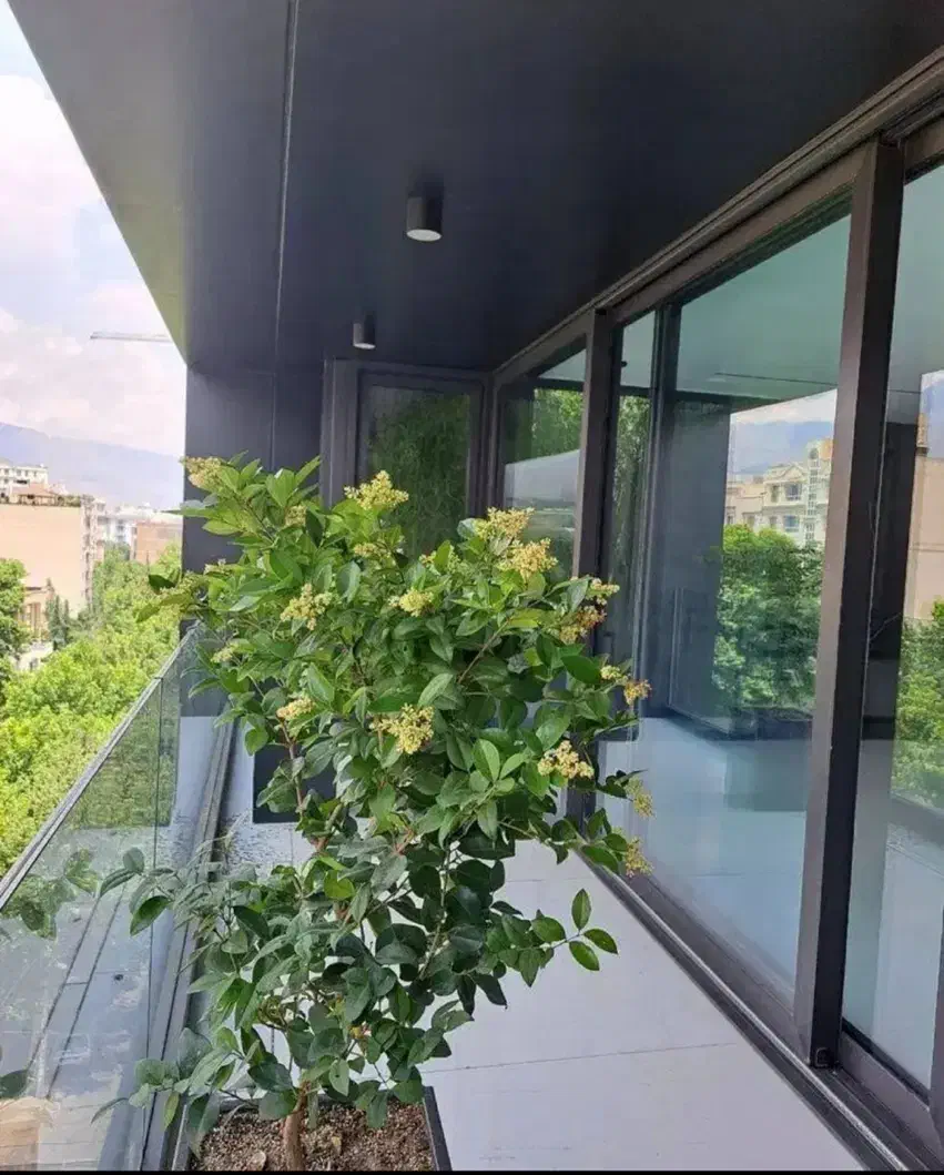سازه ای فراتراز رویا/تجربه حس آرامش و زندگی لاکچری