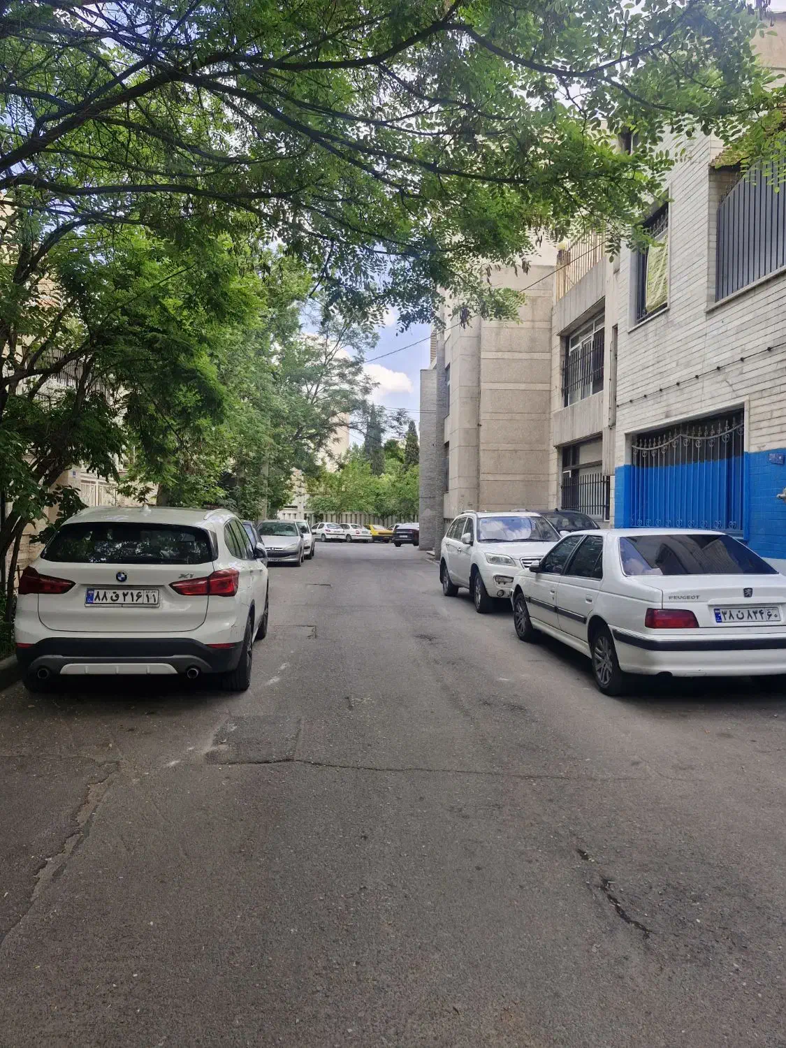 پاسداران 55متر