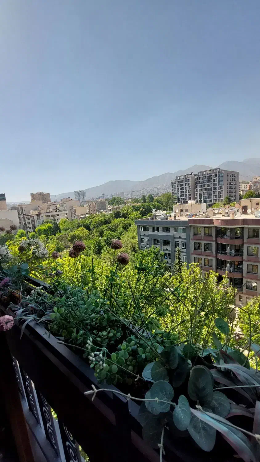 ۲۶۹متر۴خ شرایط ویژه درونک ملاصدارشیخ بهایی شمالی