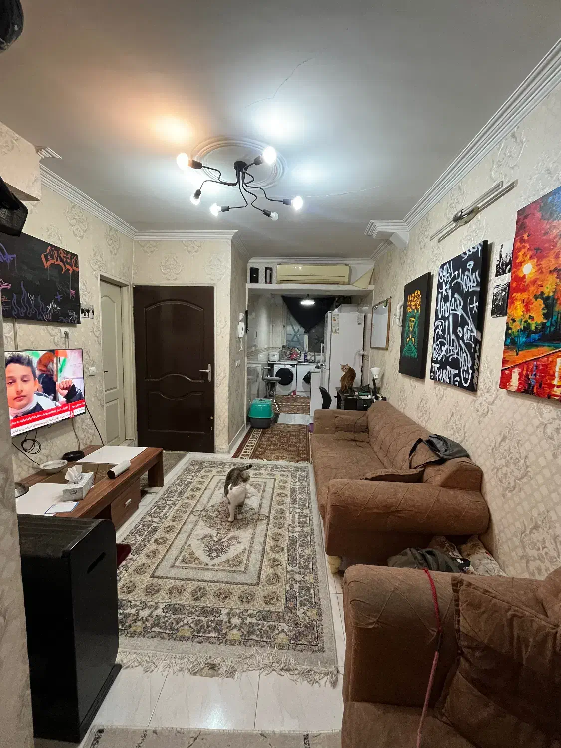 ۴۵ متری/تک واحدی/میرجلیلی