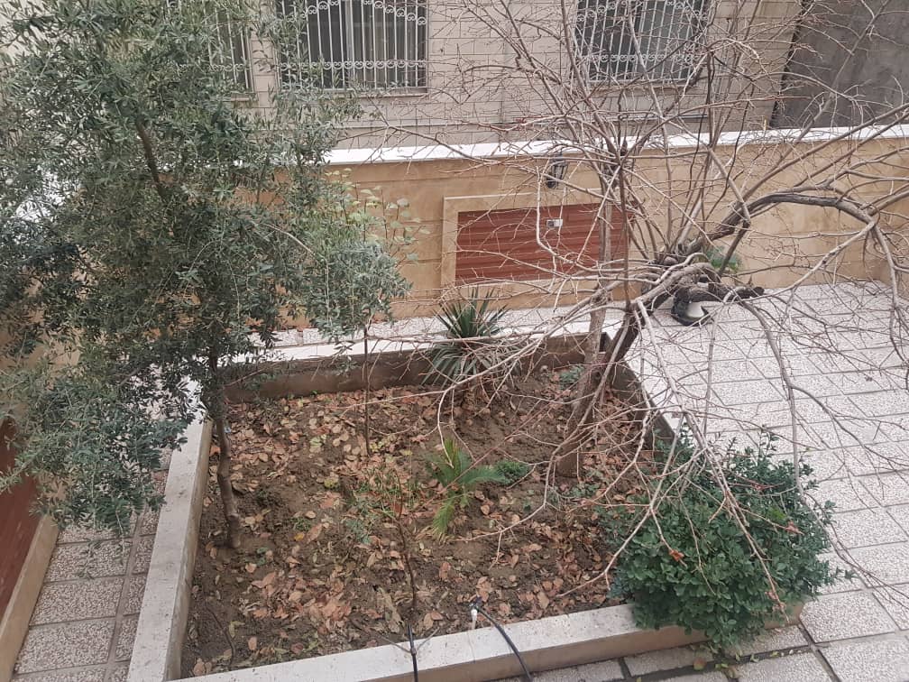 بدون توضیح